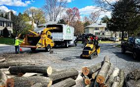 Grass Overseeding in Waxhaw, NC